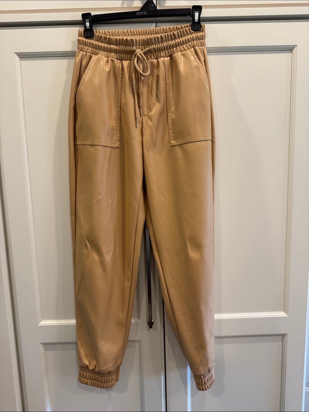 Faux Leather Jogger Pants in Camel